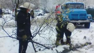 негода, сніг, мнс