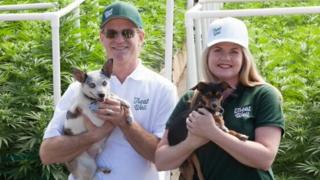Bote para mascotas: Podría marihuana medicinal ayudar a tu perro? - BBC mundo - Noticias de la BBC 1 Alison Ettel pictured with her business partner Harry Rose and his two dogs