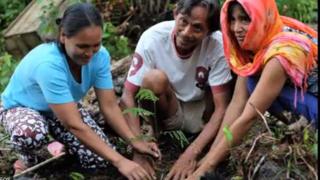 fairventures, hutan