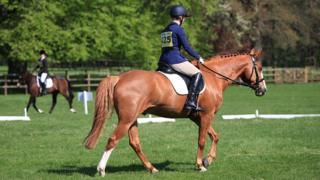 Horse trials