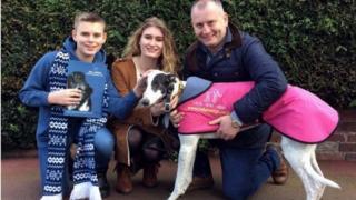 Wilkinson family
