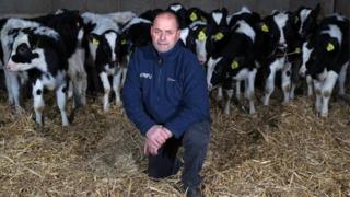 Michael Oakes and cows in a barn