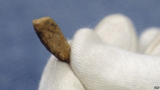 Tooth