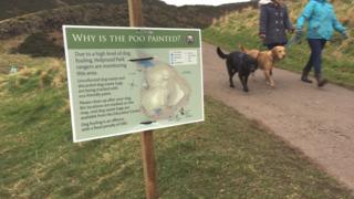 Dog dirt sign