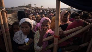 Rohingya