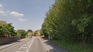 Bowers Farm Drive, Burpham