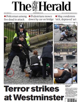 The Herald