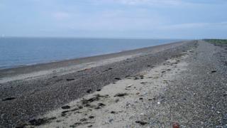 Lee-over-Sands, near Brightlingsea