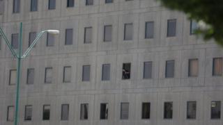 Сүрөттө парламент имаратынын терезесинде карап турган полиция кызматкери.