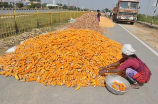 भारतीय किसान
