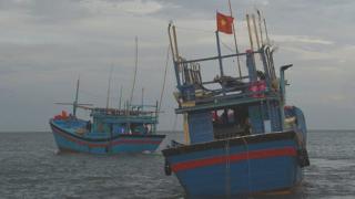 Thuyền cá Việt Nam
