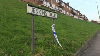 Jenkins Dale, Chatham