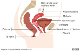 Wanke al'aura