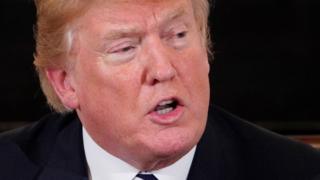 ABD Başkanı Donald Trump