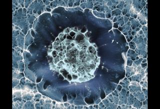 Human stem cell - SÃlvia A Ferreira, Cristina Lopo and Eileen Gentleman, King's College London