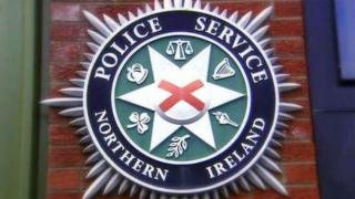 Generic PSNI logo