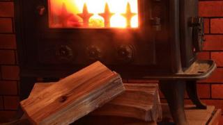 Wood burning stove