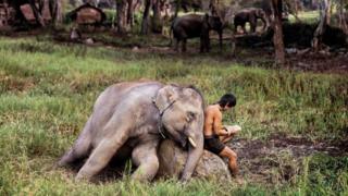 Chiang Mai, Tailand, 2010