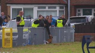 The dog, tied to a fence in the park, as police and onlookers gather round