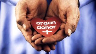 male hands holding a heart with a message saying organ donor