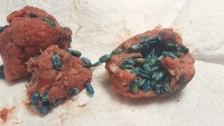 Poisoned meatballs