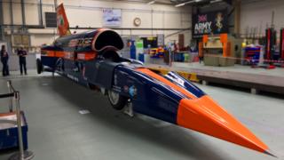 Bloodhound