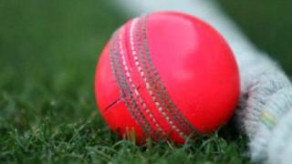 Cricket