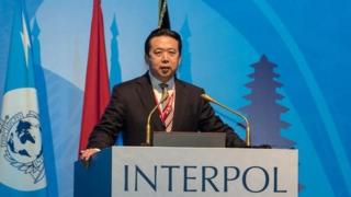 去年国际刑警组织选出中国公安部副部长孟宏伟当主席