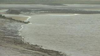 Estuary