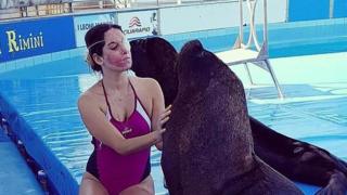 Джессика Нотаро с морскими львами