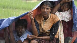 Rohingya