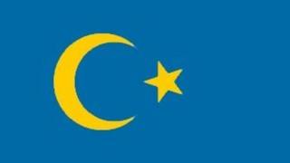 fake Swedish flag