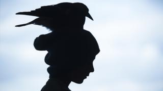 Penguin sitting on someone's head