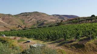 Cesare Nicodemo's winery, Sicily