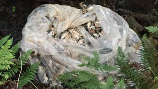 Bag of salmon heads