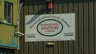 Pembrokeshire abbatoir