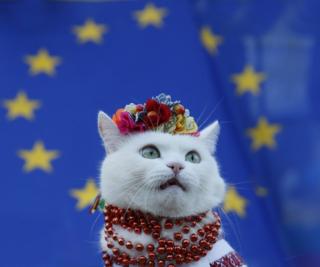 Безвиз между Украиной и ЕС может заработать уже до конца мая