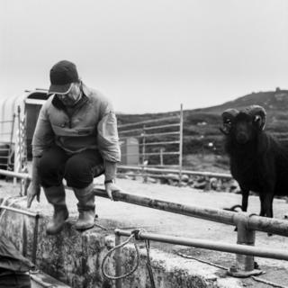 A man jumps off the harbour while next to a ram
