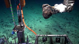 Renewables' deep-sea mining conundrum - BBC News