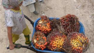 Kelapa sawit