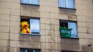 Уточка в окне