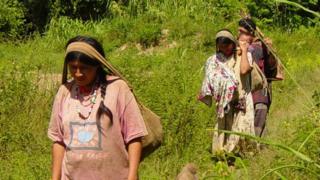 Tsimane Bolivia