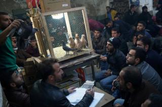Auctioneer Kadir Sakizci, 28, conducts a sale at a pigeon auction in Sanliurfa, Turkey