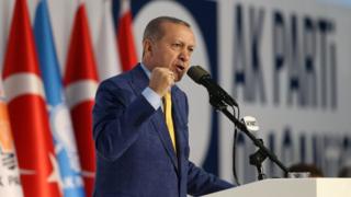 الرئيس التركي رجب طيب اردوغان