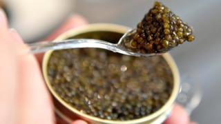 caviar