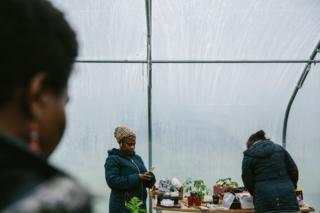 Participants plant seeds on a table in the polytunnel