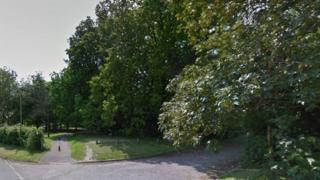 High Woods