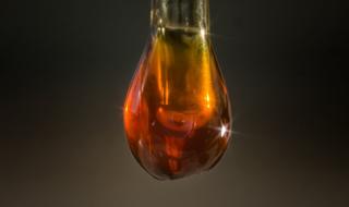 Oldest oil