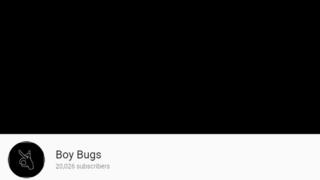 BoyBugs