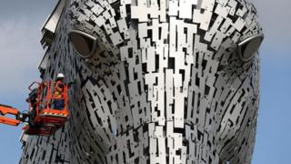 Man inspects Kelpie's head